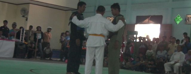 Kabupaten Penajam Paser Utara kaltim telah mengadakan Kejurcab IPSI pada tanggal 29-30 Oktober 2011 yang di ikuti lima perguruan pencak silat yaitu PSHT, IKS, ASAD,CP,...