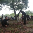 Follow SUNGAILIAT – Persaudaraan Setia Hati Terate (PSHT) Cabang Bangka, melakukan bakti sosial dengan membersihkan Tempat Pemakaman Umum (TPU) Air Ruay, Sungailiat, Minggu (15/6). Aksi [&hellip;]