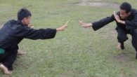 (Peragaan gerak kuda kuda bawah di PSHT) Sekilas tentang rangkaian gerak yang menyasar bagian persendian kaki, seperti sambungan otot paha dan betis, atau posisi kaki [&hellip;]