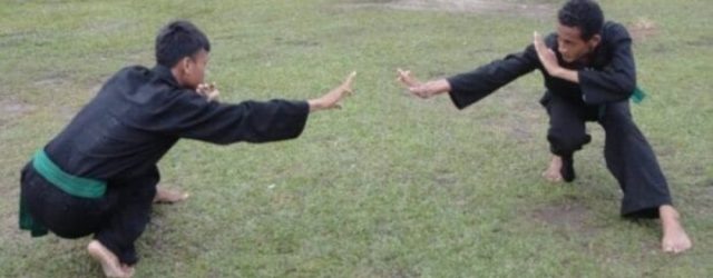 (Peragaan gerak kuda kuda bawah di PSHT) Sekilas tentang rangkaian gerak yang menyasar bagian persendian kaki, seperti sambungan otot paha dan betis, atau posisi kaki [&hellip;]